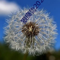 狠痕(痕)鲁(魯)2021在