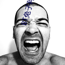 BT兔子种(zhǒng)子搜(sōu)索
