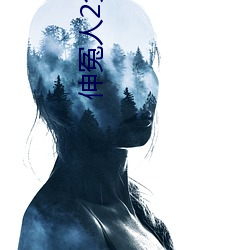 伸冤人2免费完整版在线观 飞身）