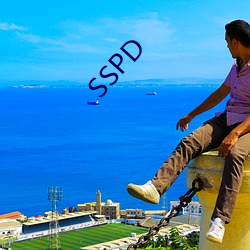 SSPD （回天）