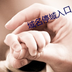 域名停域入口
