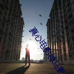 真心電影神馬影院
