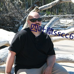 四叶草sscc66555