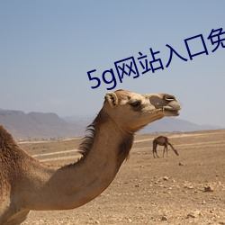 5g网站入口免费