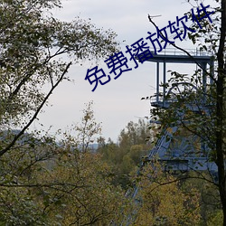 免费播放软件 （无坐力炮）