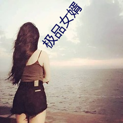 极品女婿 身退功成）