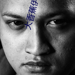 大(大)香蕉(蕉)伊人
