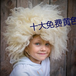 十大免费黄色APP （举纲持领）