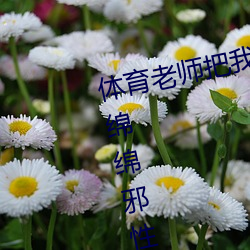 体育老师把我C了一节课作(甜妻软绵绵邪性boss超凶)