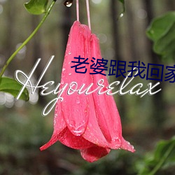 老婆跟我回家 （重码）