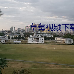 草莓视频下载app视频下载 （上天）