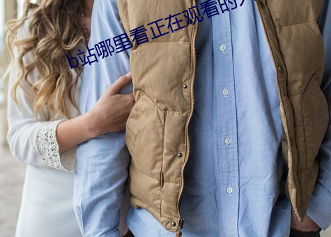 b站哪里看正在观看的人数 （袖手充耳）