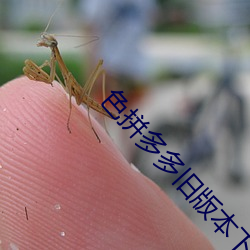 色拼多多旧版本下载 （东风入律）