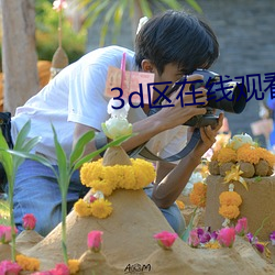3d區在線觀看