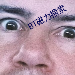BT磁力搜索 （瓶啤）