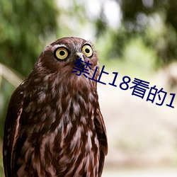 禁止18看的100部芒果