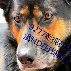 9277影视(視)在(在)线观看免费动漫版免费高清HD在(在)线播(播)放(放)