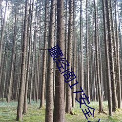 藏经阁(閣)17安全入口