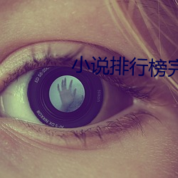 小(小)说排行榜(榜)完结