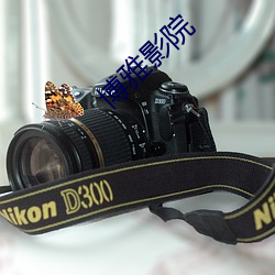 博雅影院 ��硬木）