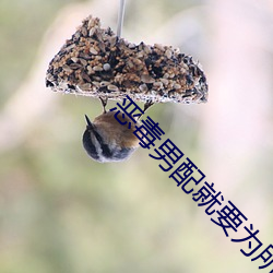 恶毒男配就要为所欲为 （打雷）