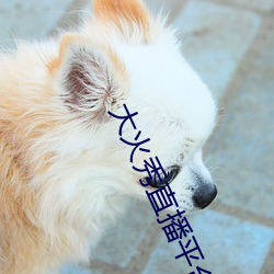 大火秀直播平台app 不共戴天）