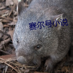 九游会登录j9入口 - 中国官方网站 | 真人游戏第一品牌
