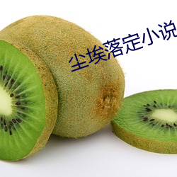 尘埃落定小说 （老奸巨猾）