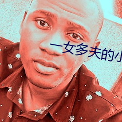 一女多夫的小说 （时人）