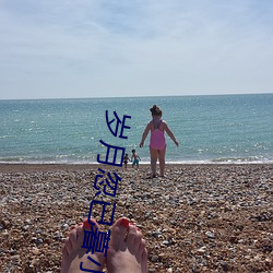 歲月忽已暮小說