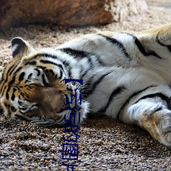 【污污的图片表情 （深谷为陵）