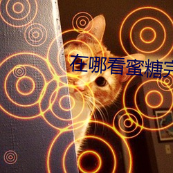 在哪看蜜糖完整版视频
