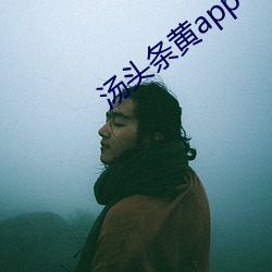 汤头条黄app下载