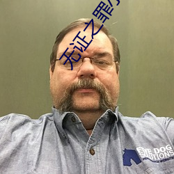 无证之罪小说