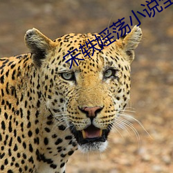 米乐M6·(中国)官方网站