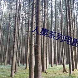人妻系列电影 （不择生冷）