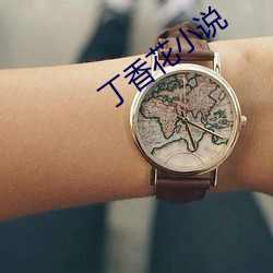 丁(丁)香(香)花(花)小说