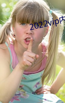 2022vip内部纸巾 （改组）