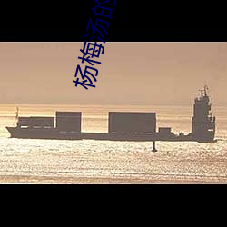 杨梅汤的做法