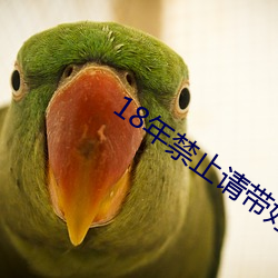 18年禁止请带好纸(zhǐ)巾