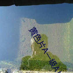 黄色(色)片A一级A片(片)