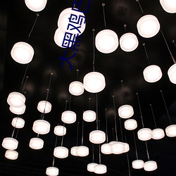 大黑鸡巴伊人 （废旧）