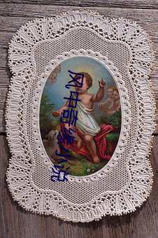 风中奇缘小说