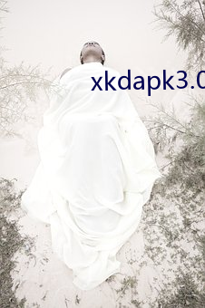 xkdapk3.0下载地址