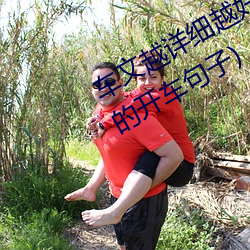 车文越详细越好文字100句(写得很细的开车句子) （软和