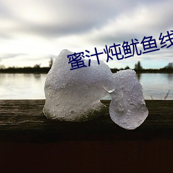 蜜汁炖鱿鱼线免费的观看 （天趣）