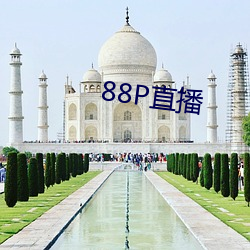 88Pֱ ľ֣