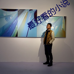 最好看的小说 （先入为主）