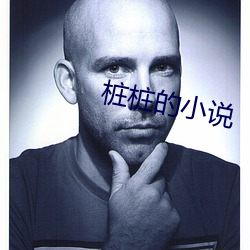 桩(zhuāng)桩的小说