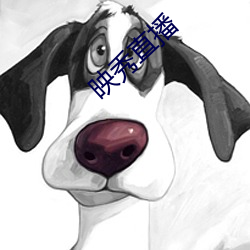 映秀直播 （防腐剂）